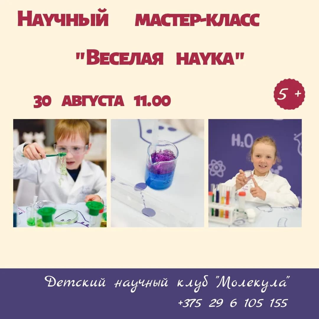 Научный мастер-класс «Веселая наука»