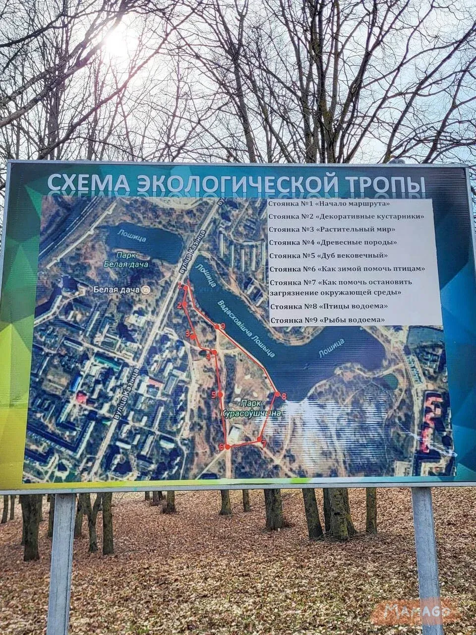 Экологическая тропа «Парк Курасовщина»