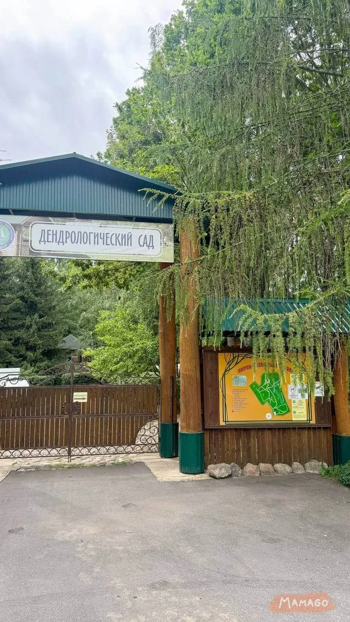 Дендросад
