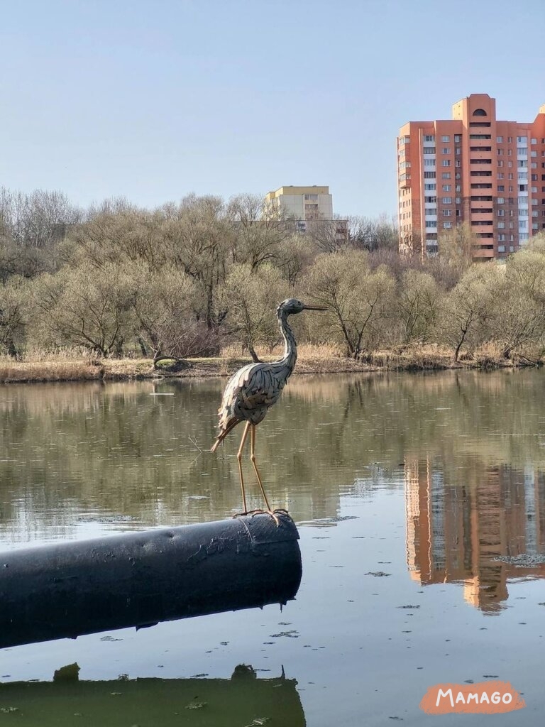 Экотропа «Дубки»