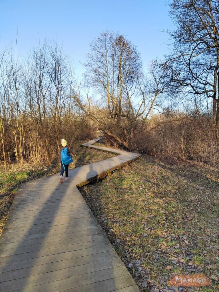 Экотропа в Чижовке