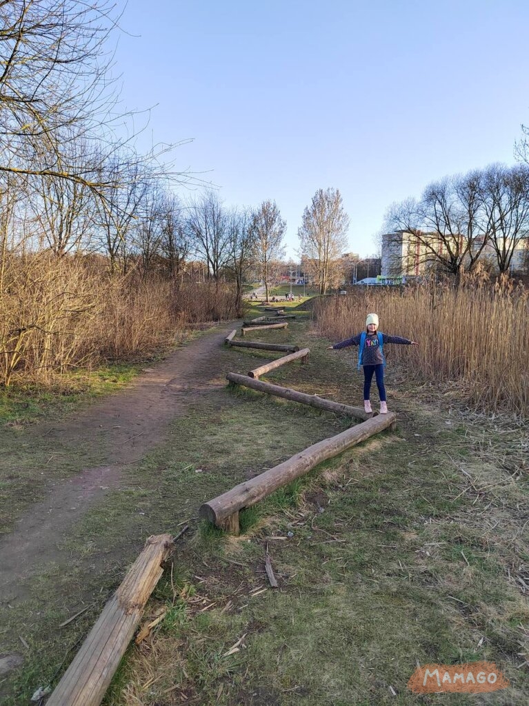 Экотропа в Чижовке