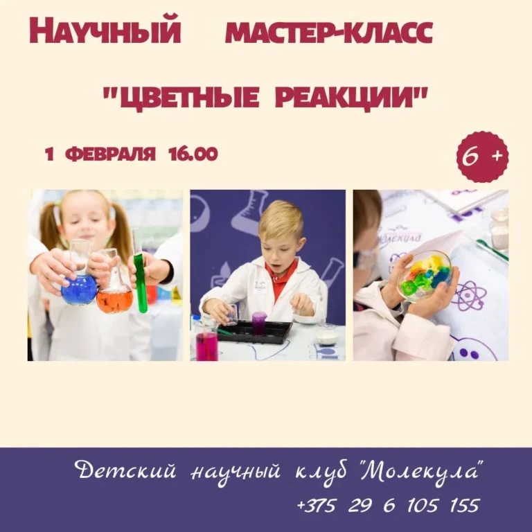 Мастер-класс по химии «Цветные реакции» - Image 01 (January 26, 2026)