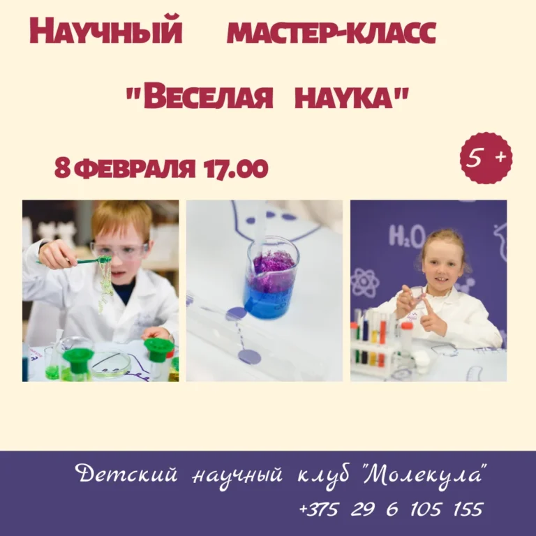 Научный мастер-класс «Веселая наука» - Image 01 (February 2, 2026)