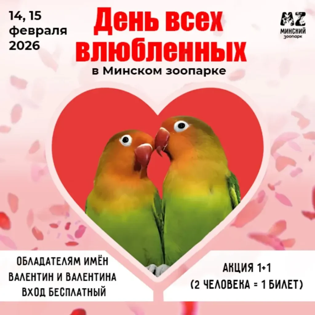 День всех влюбленных в Минском зоопарке - Image 01 (February 9, 2026)