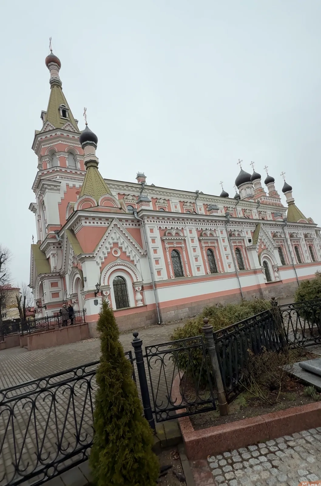 Img 5450 02 1ug0 - Image 3104 (February 3, 2026)