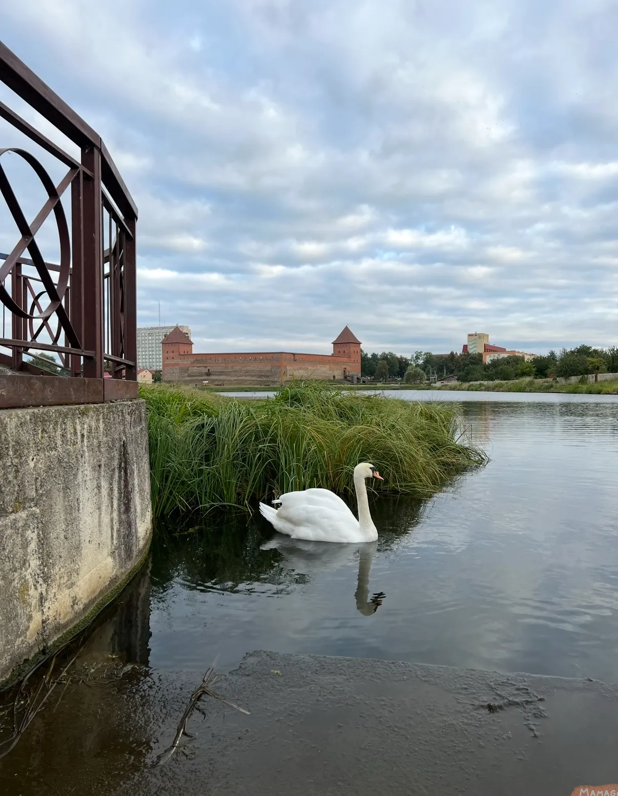 Img 5476 27 1ug0 - Image 3129 (February 3, 2026)