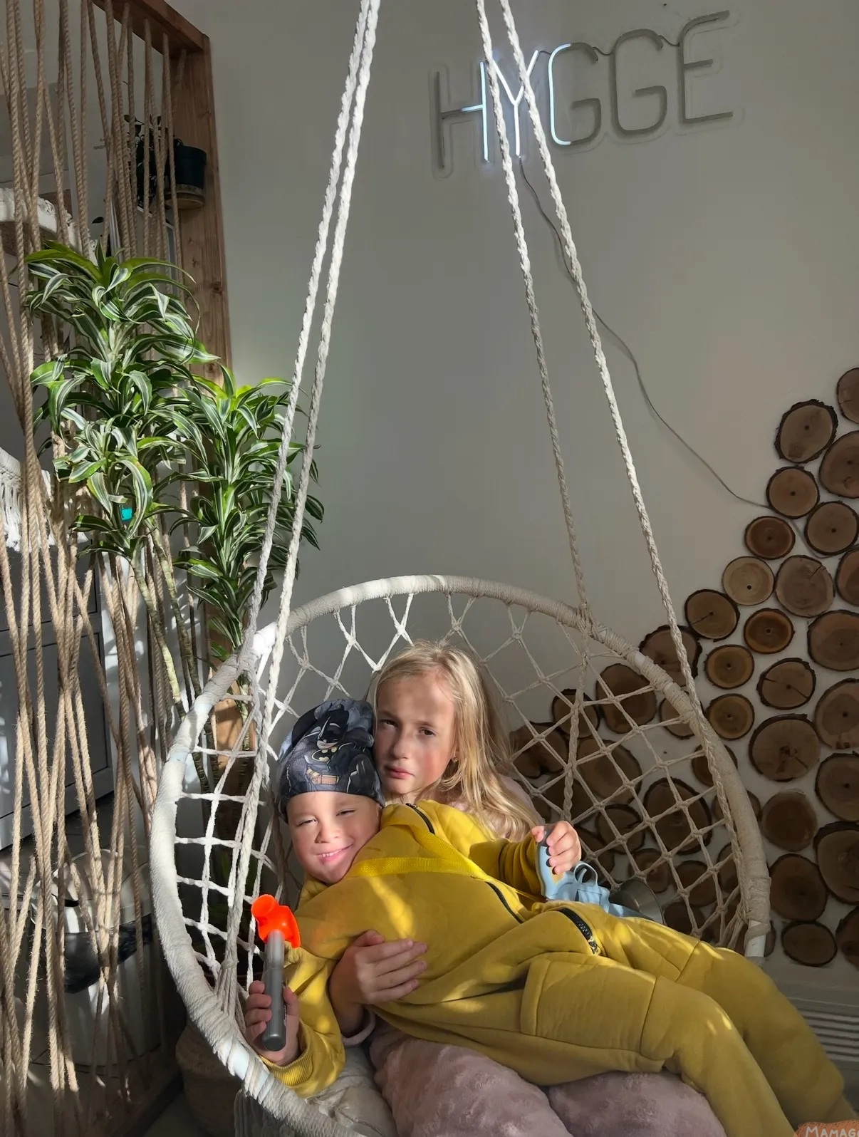 Img 5479 30 1ug0 - Image 3132 (February 3, 2026)