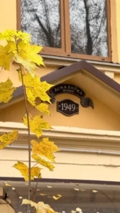 Image 2026 03 20 092550 01 Gn9c - Image 3262 (March 20, 2026)